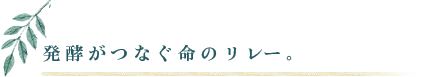 発酵がつなぐ命のリレー。