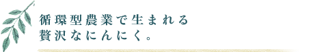 循環型農業で生まれる贅沢なにんにく。